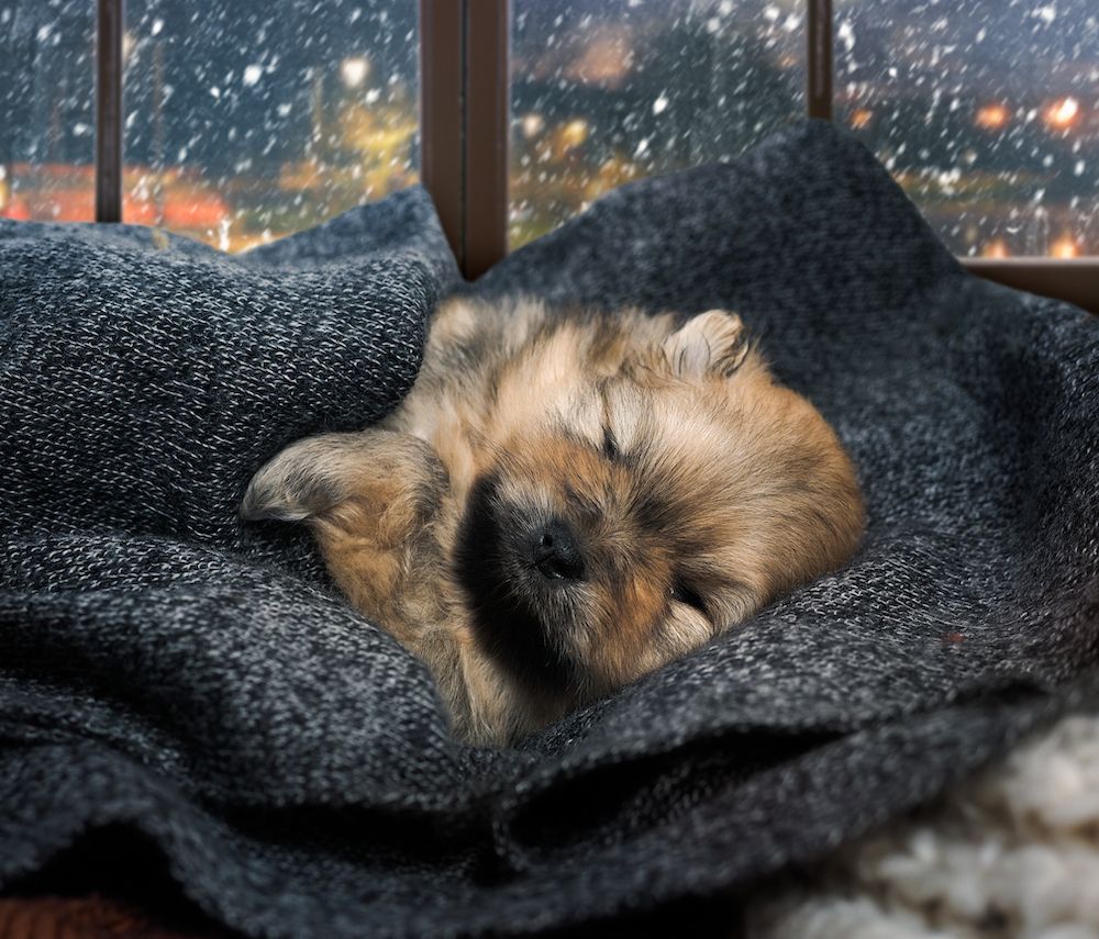 It Was a Dark and Stormy Night